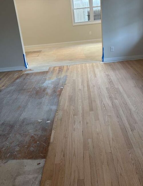 WhatsApp Image 2025-10-23 at 11.17.35 AM